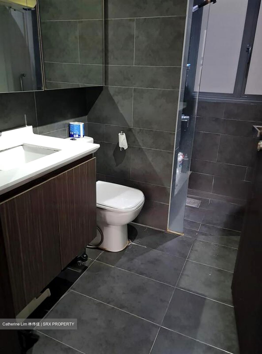 Parc Olympia (D17), Condominium #460150531